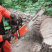 The Makita 20" 50cc Chain Saw EA5000PRFL