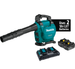 18V X2 (36V) LXT Lithium?Ion Brushless Cordless Blower Kit XBU04PT (kit)