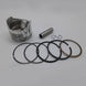 Honda 36 - 240 Engine Piston Kit 36 - 240 OEM13101 - ZE0 - 101 - SLE Equipment - 1