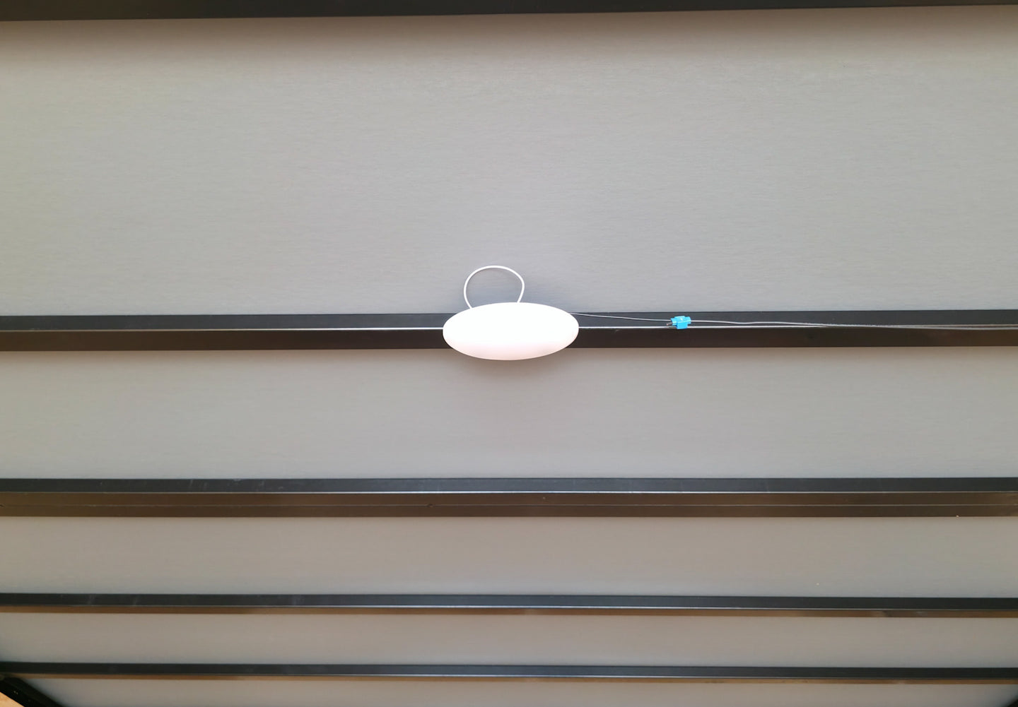 8.5x24 V Nose Neon Green Enclosed Trailer (2) 5200 LB Axles With Brakes 7 Ft Interior Height With Black Out Package 12 Volt Dome Light