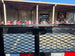 7 X 14 Straight Deck Utility Trailer With 12" Mesh Sides (2) 3,500lb Axles 7K GVWR - SLE Equipment - 22