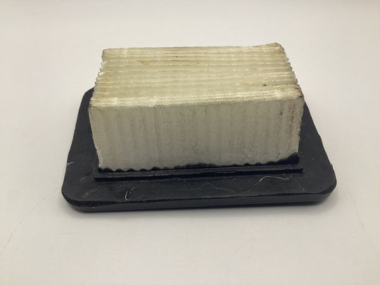 Kawasaki 11029 - 2022 Air Filter - SLE Equipment - 1