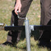 DR Power 406800 Versa-Trailer Package Pro 1000