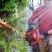 DR Power 414161 62V Battery Powered Hedge Trimmer