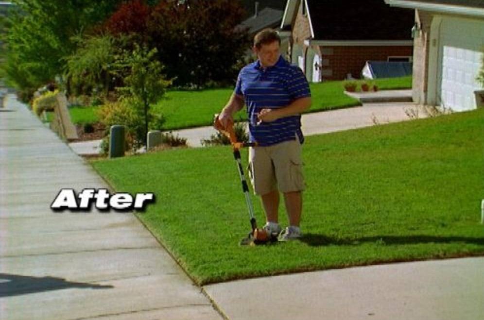 WORX GT WG150.1 10-Inch 18-Volt 2-In-1 Cordless Electric Grass Trimmer/Edger