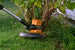 WORX GT WG150.1 10-Inch 18-Volt 2-In-1 Cordless Electric Grass Trimmer/Edger