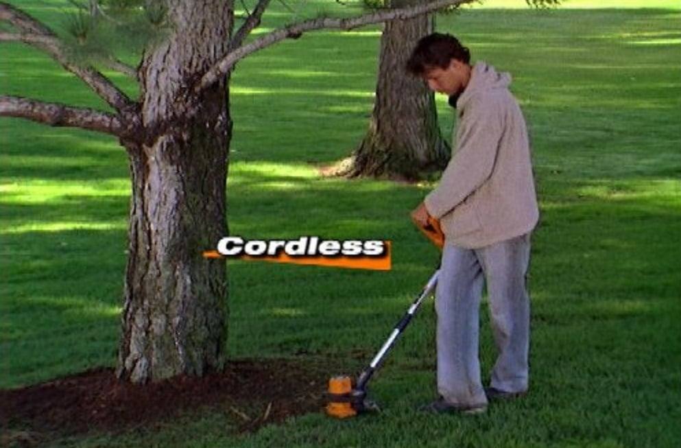 WORX GT WG150.1 10-Inch 18-Volt 2-In-1 Cordless Electric Grass Trimmer/Edger