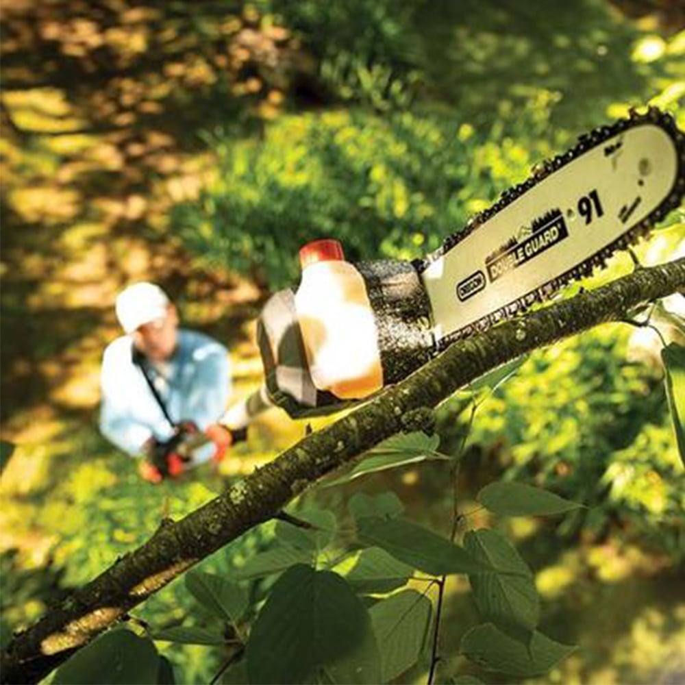 DR Power 524131 62V Battery Powered Pole Saw 650 Watts