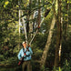 DR Power 524131 62V Battery Powered Pole Saw 650 Watts
