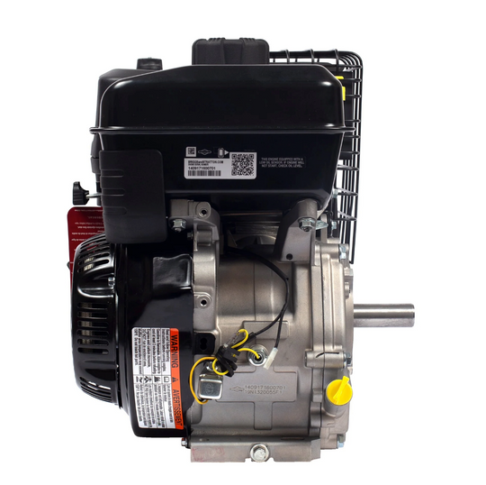 Briggs & Stratton 19N132-0055-F1 306cc Engine, General View. 