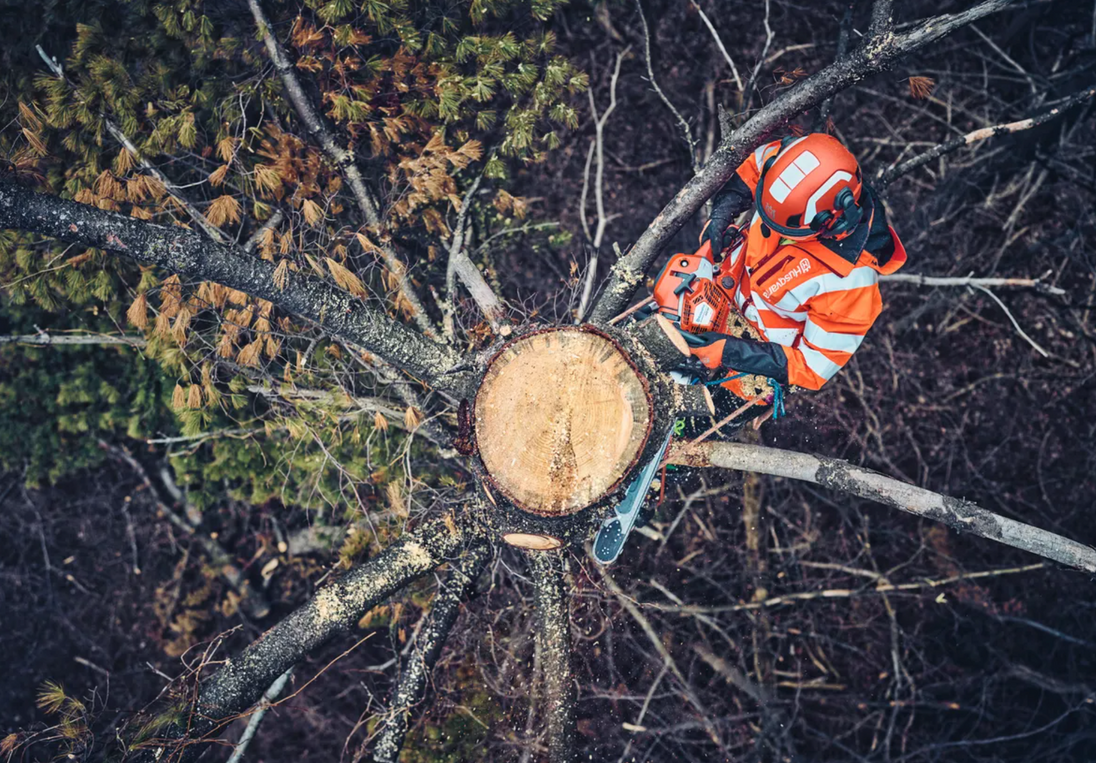 Husqvarna 562XPG 20" Chainsaw Professional 59.8cc AutoTune Engine, General View. 