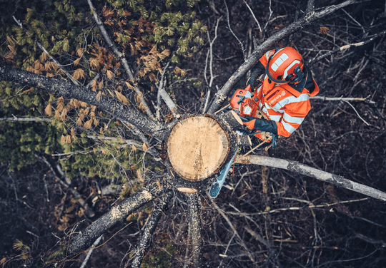 Husqvarna 562XPG 20" Chainsaw Professional 59.8cc AutoTune Engine, General View. 