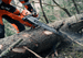 Husqvarna_572_XP_70.7cc_Gas_Chainsaw_28_3_8_Pitch_.050_Gauge. Cut View. 