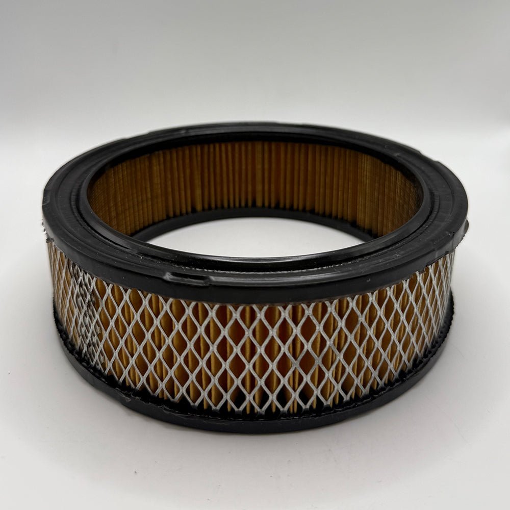 Briggs & Stratton Replacement Air Filter 30 - 101 - SLE Equipment - 1