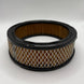 Briggs & Stratton Replacement Air Filter 30 - 101 - SLE Equipment - 1