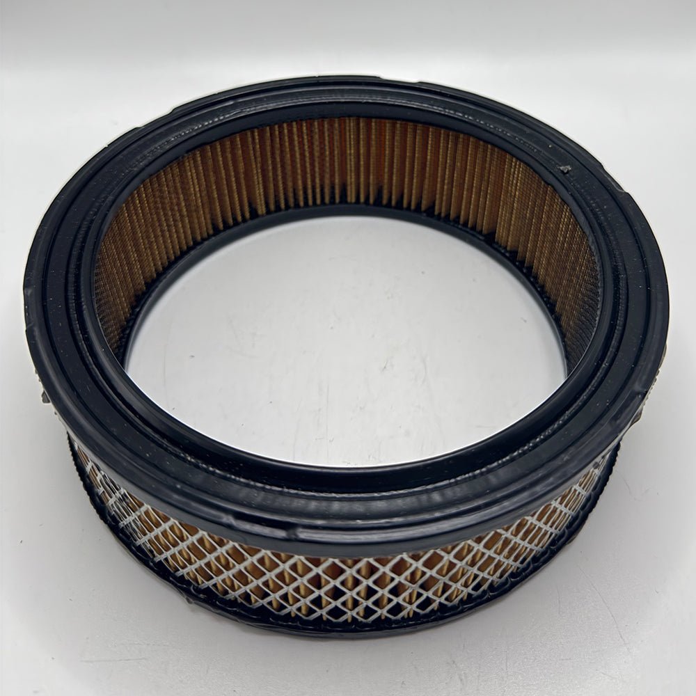 Briggs & Stratton Replacement Air Filter 30 - 101 - SLE Equipment - 2