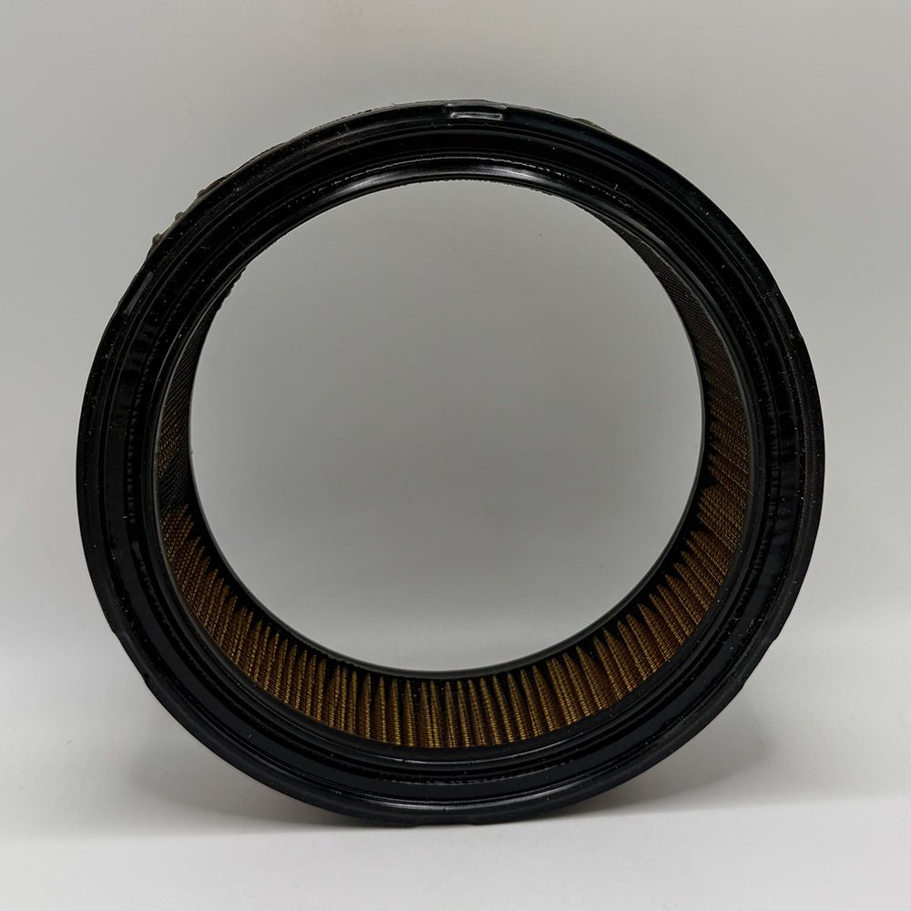 Briggs & Stratton Replacement Air Filter 30 - 101 - SLE Equipment - 3