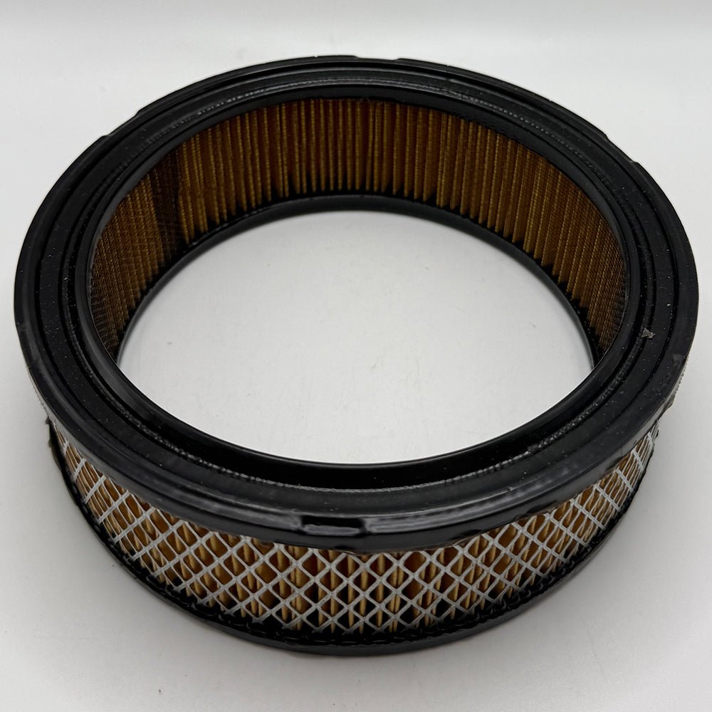 Briggs & Stratton Replacement Air Filter 30 - 101 - SLE Equipment - 4