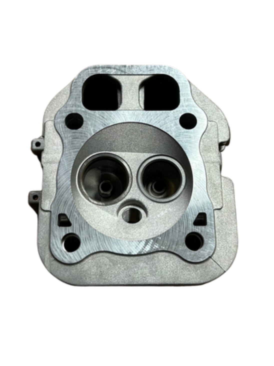 Kohler Cylinder Head Assembly 24 318 66-s