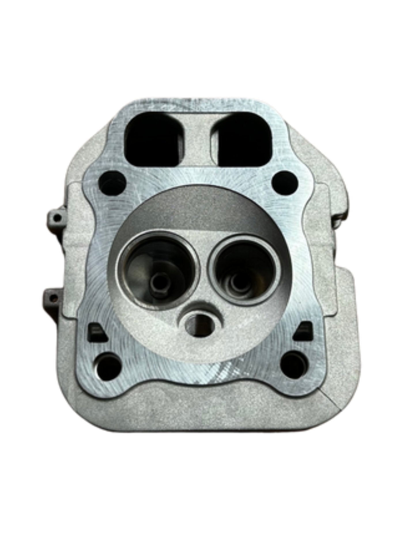 Kohler Cylinder Head Assembly 24 318 66-s