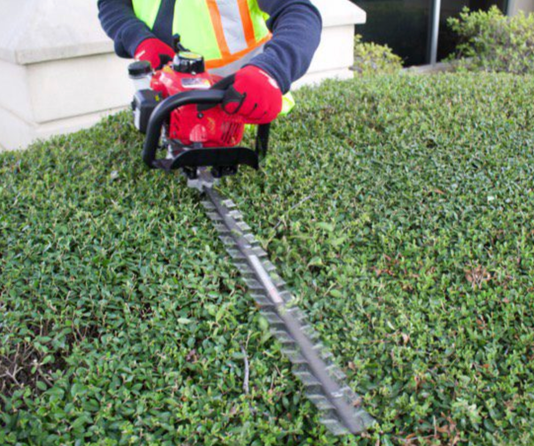 Maruyama_H23DFL_Hedgertrimmer_-_double_side_edge_-30_blade, Front View 