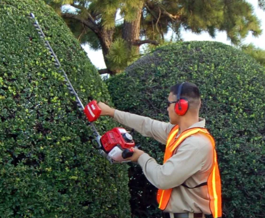 Maruyama_H23FL_Hedger_Trimmer_Double_Sided_Edge_-_24_Blade, Side View