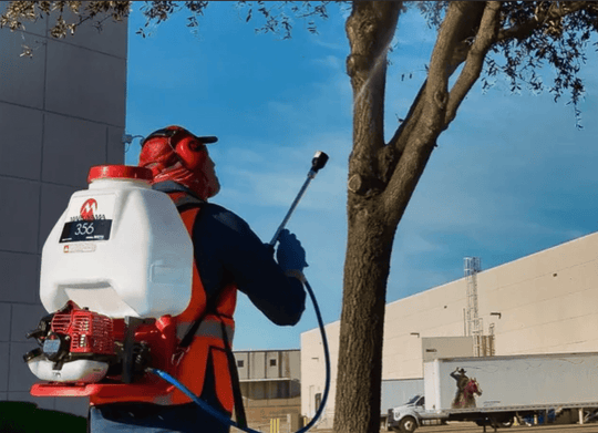 Maruyama MS75 Blackpack Sprayer, Rear View.