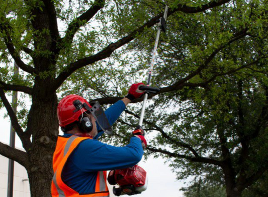 Maruyama_PS300_Pole_Saw_Pruner_Straight_Shaft_30.1cc, Rear View