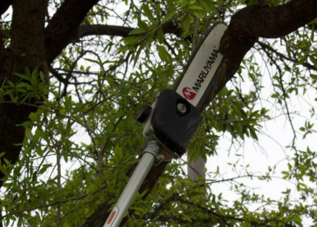 Maruyama_PS300_Pole_Saw_Pruner_Straight_Shaft_30.1cc, Side View 