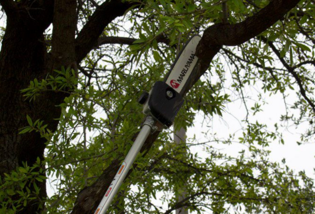 Maruyama_QC-PL_Pole_Pruner_Attachment_59_Shaft_10_Blade, Side View