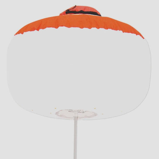 Multiquip GB3LEDB Light Balloon Lamp Only - LED 300W - SLE Equipment - 1