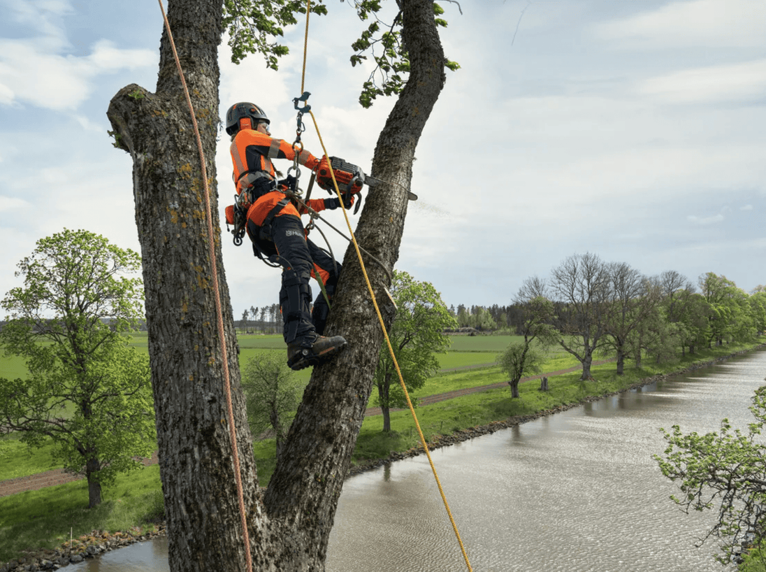 Husqvarna T540XP Mark III 12" Chainsaw 39.1cc (Unboxed) - SLE Equipment - 6
