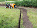 Brave Pro Bed Sculptor 9" Steerable Trencher 270cc Honda GX