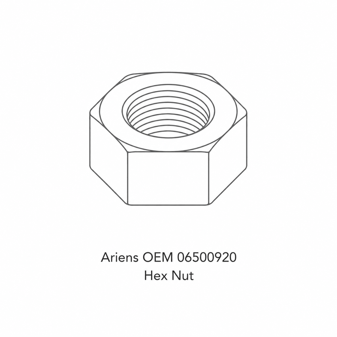 Ariens OEM 06500920 Hex Nut - SLE Equipment - 1