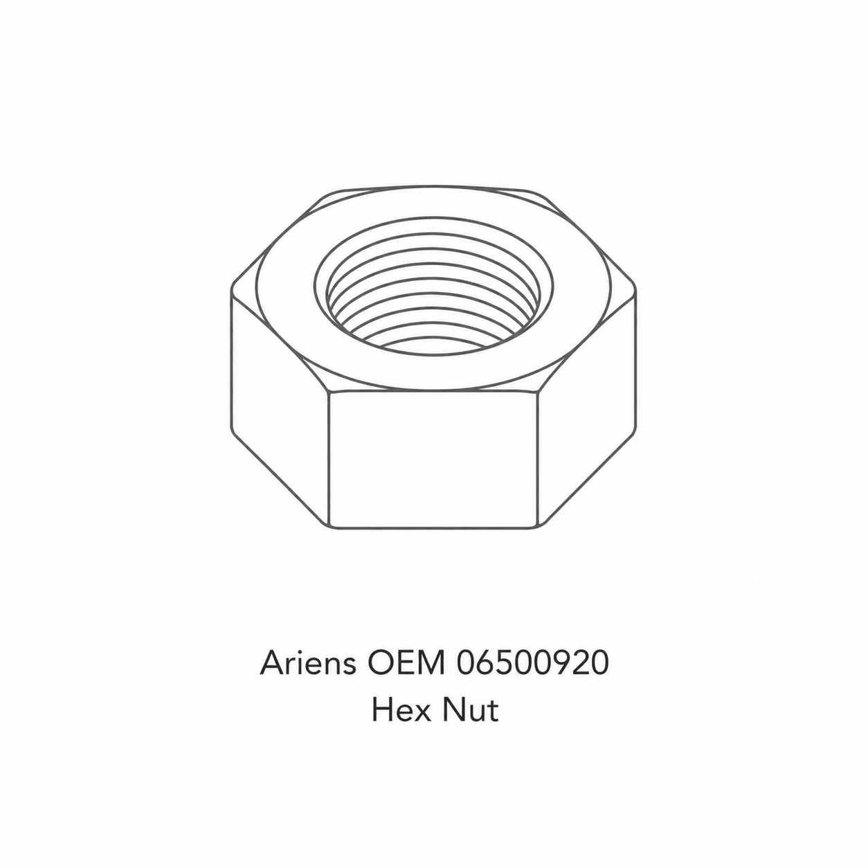 Ariens OEM 06500920 Hex Nut - SLE Equipment - 1