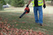 Shindaiwa EB252 Handheld Power Blower 25.4 cc Professional Grade - SLE Equipment - 3