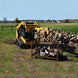 Wallenstein WX430 Hydraulic Skidsteer Log Splitter 25 Tons - SLE Equipment - 2