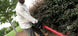 Greenworks Commercial GH260 Brushless 26" 82V Hedge Trimmer - Tool Only - SLE Equipment - 2