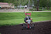Maxim MS50NB Consumer Tiller 127cc Briggs & Stratton
