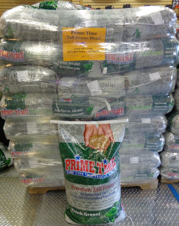 Prime Time Premium Grass Seed  Pack of 40