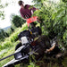 DR Power AT45026BEN Filed and Brush Mower Image 1