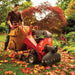DR Power WL35008DMN Leaf and Lawn Vacuum Pro Self Propelled