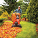 DR Power WL33006DMN Leaf and Lawn Vacuum Premier