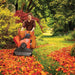 DR Power WL35008DMN Leaf and Lawn Vacuum Pro Self Propelled