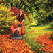 DR Power WL35008DMN Leaf and Lawn Vacuum Pro Self Propelled