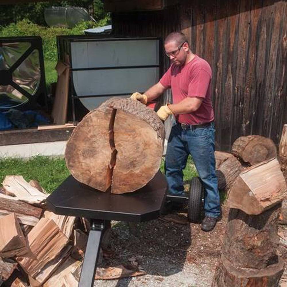 DR Power WR35028BMN RapidFire Flywheel Log Splitter