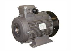 AR Pump R6011 Pressure Washer Electric Motor 10 HP 1 3/8" Shaft