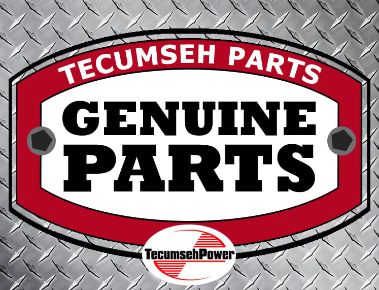 Tecumseh Genuine Part 170018 Inlet needle valve